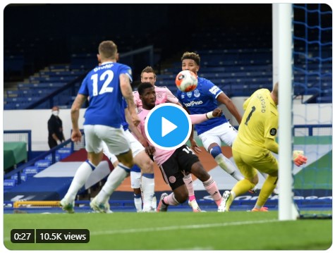 Kelechi Iheanacho's goal against Everton