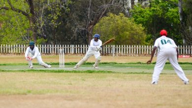 https://www.pexels.com/photo/men-playing-cricket-9828008