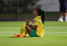 South Africa vs Argentina