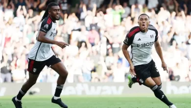 Alex Iwobi Fulham FC debut