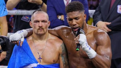 Usyk and Anthony Joshua