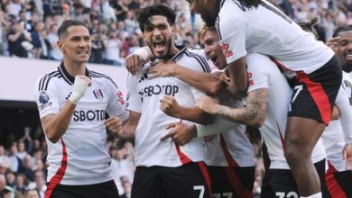 Alex Iwobi and Fulham players celebrate a goal against Newcastle United