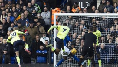 Joe Aribo has vowed that Southampton will fight until the end of the season to secure their place in the English Premier League.