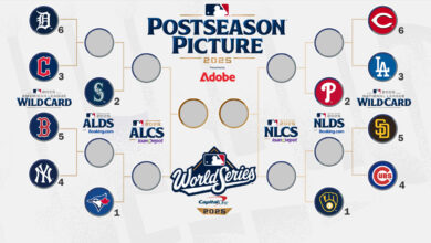 2025 MLB Playoffs bracket showing Wild Card, Division Series, and road to the World Series