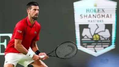 Novak Djokovic said he was just “trying to stay alive” as he fought through very tough weather to reach the semi-finals of the Shanghai Masters.